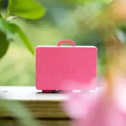 GETTING LOST - SUITCASE PINK SPRING BLOOMS