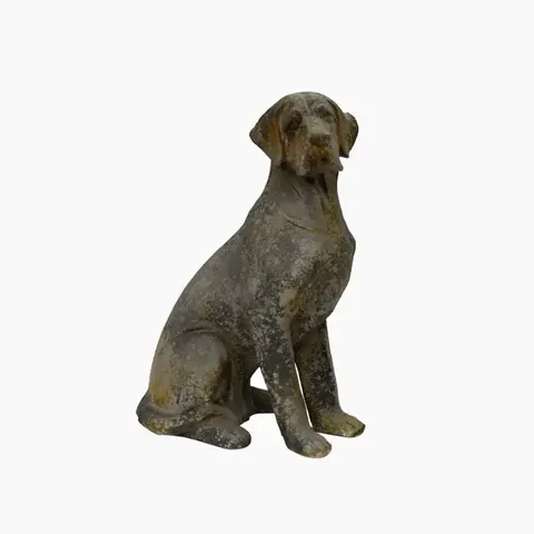 BARON DOG