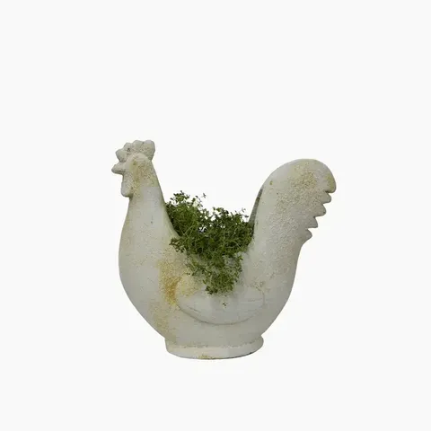 CHOOK FLOWER POT