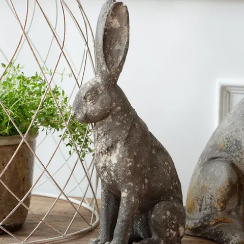 OLIVIA HARE