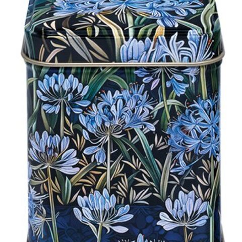 SQUARE TIN AGAPANTHUS 100GM