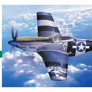 P-51D Mustang (U.S. Army Air Force Fighter)