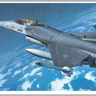 F-16C Fighting Falcon [U.S. Air Force Tactical Fighter]