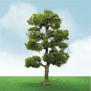 JTT Scenery PRO-ELITE TREES: DOWNY BIRCH 3.5