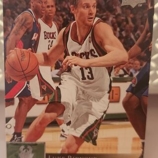 2009-10 Upper Deck Milwaukee Bucks Luke Ridnour #100