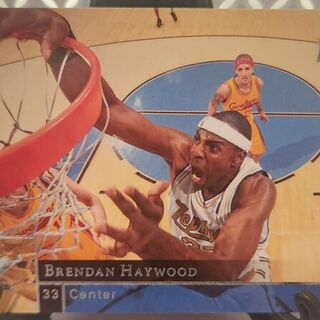 2009-10 Upper Deck Washington Wizards Brendan Haywood #198