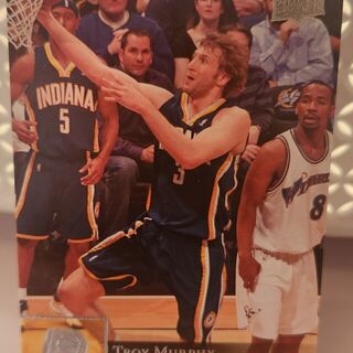 2009-10 Upper Deck Indiana Pacers Troy Murphy #70