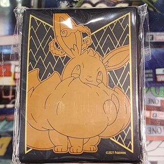 Pokémon Sleeve Pack