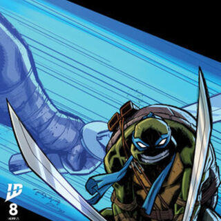 Teenage Mutant Ninja Turtles #8 Variant E (Randolph) Comic