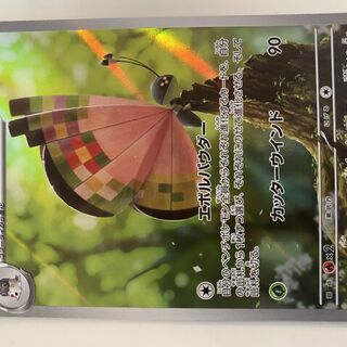 Pokémon TCG: Vivillon 107/106 - Japanese Card