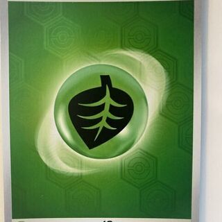 Pokémon TCG: Holo Grass Energy SVE