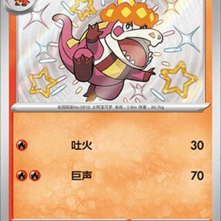 Pokémon TCG: Crocalor 406/08 - Chinese Card
