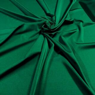 Shiny Nylon Spandex Verde