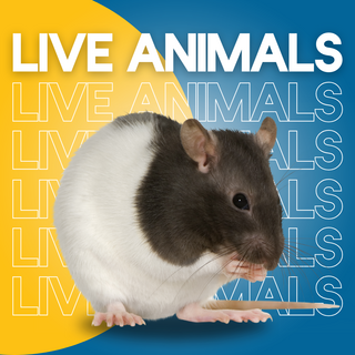 Live Animals - Maximum Pet Supplies