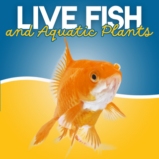 Live Fish and Plants - Maximum Pet Supplies