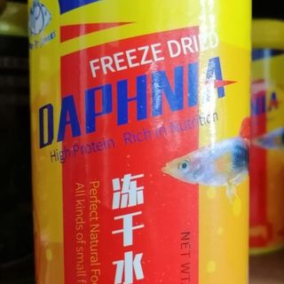 Freeze Dried Daphnia DATED