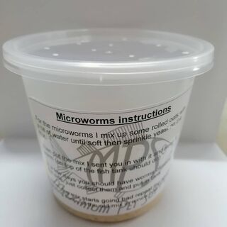 Microworms - Starter Culture