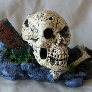 Skull Ornament - Medium