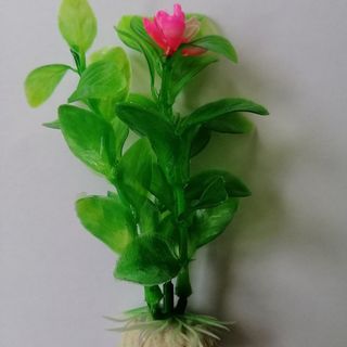 Green with Pink Flower