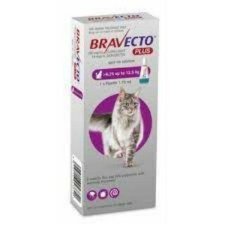 Bravecto PLUS Large Cat 6.25-12.5kg DATED