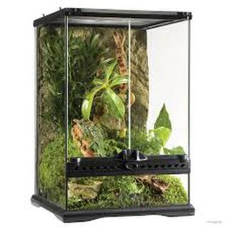 Exo Terra Glass Terrarium 30 x 30 x 45cm