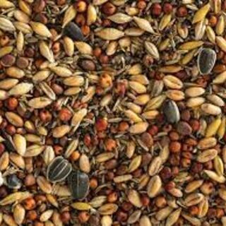 Topflite Wild Bird Seed Mix 5kg - Coarse