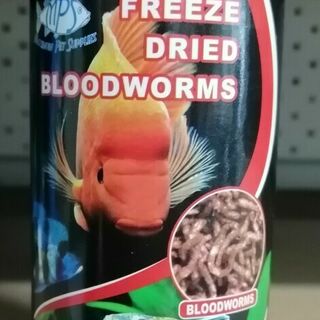 Freeze Dried Bloodworms DATED