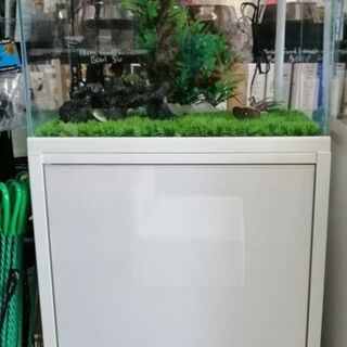 SUNSUN 70L High Quality aquarium with filter, light and built in thermometer and Cabinet