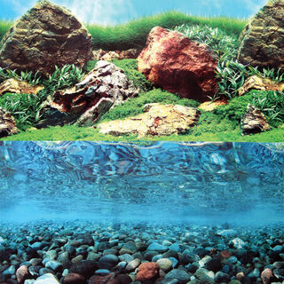 Aqua One Background Stone & Grass Land Double Fresh Marine per 10cm