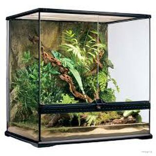 Exo Terra Glass Terrarium 60 x 45 x 45cm