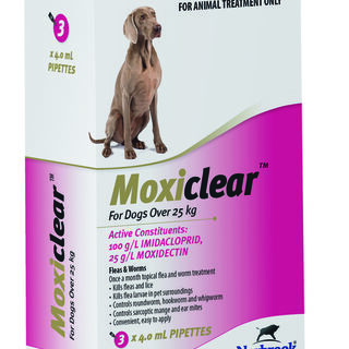 Moxiclear For Dogs Over 25kg 3pk