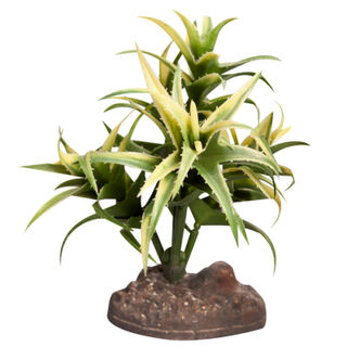 Reptile One Plant Flexuosa Green With Ceramic Base