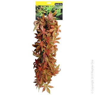 Reptile One Plant Red Hanging Sativa