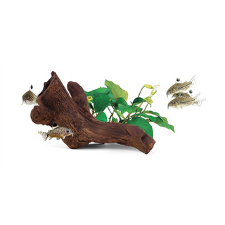 Aquavitro Ceramic Hide B2