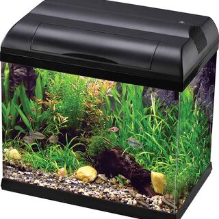Aqua One EcoStyle 32 Rectangular Aquarium 14L