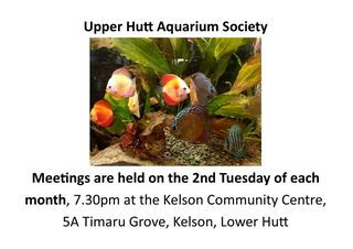 Upper Hutt Aquarium Society Monthly Meetings