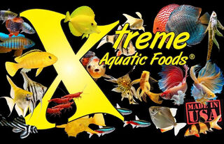 Xtreme Fish Food Now In Store and Online