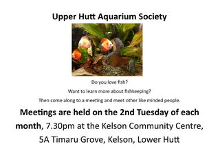 Upper Hutt Aquarium Society Monthly Meetings For 2024