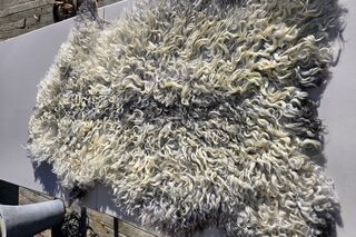 Sheepskin 2400