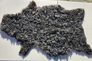 Sheepskin 2492