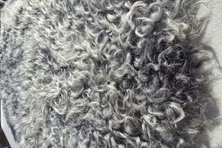 Sheepskin 2496