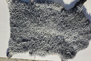Sheepskin 2488