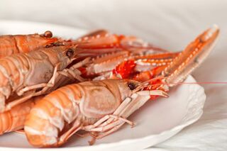 Crabs & Crayfish online home delivery NZ|Seafood Bazaar