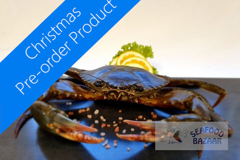 Mud Crab Frozen Raw approx 600 grams - PRE-ORDER