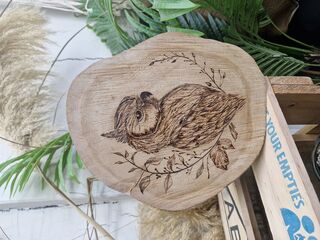 Rustic wood round with owl design