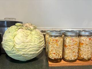 Canned Coleslaw Recipe