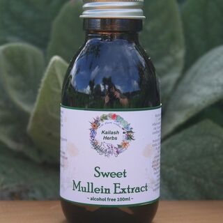 Mullein Extract (Sweet)