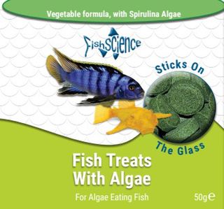 Fish Treats with Algae