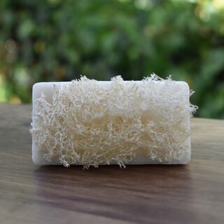 Sea Salt Loofah Foot Scrub