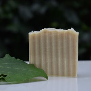 Kawakawa & Aloe Soap